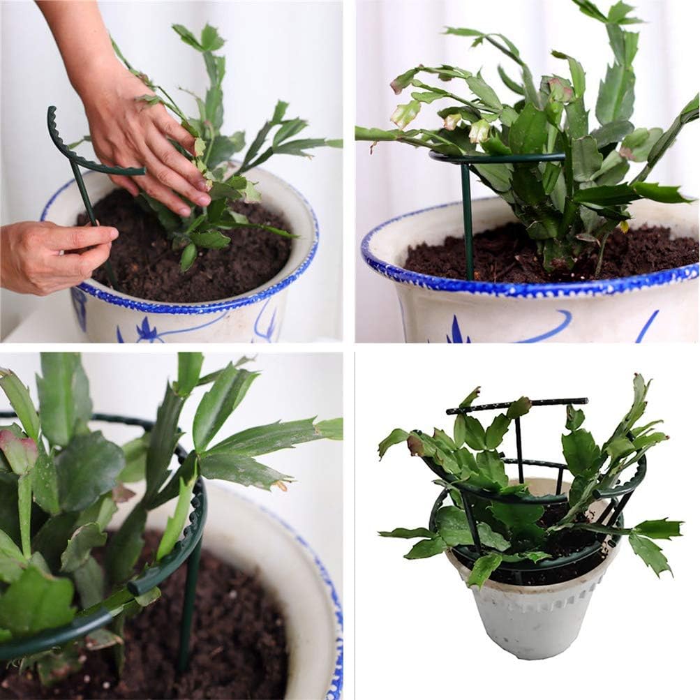 Belit 8 Pack Plant Supports for Small Plants, Garden Flowers Green Plant Support Ring, Planter Support Ring for Schlumbergera, Clivia, Succulents