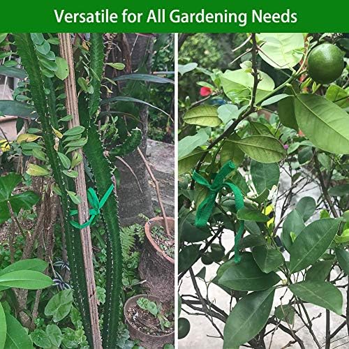 Shintop Plant Ties, 164 Feet 8mm Green Garden Twine for Tomato