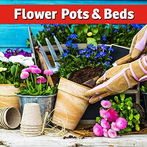 I Must Garden Squirrel Repellent: Stops Digging in Gardens/Pots/Beds - 3lb