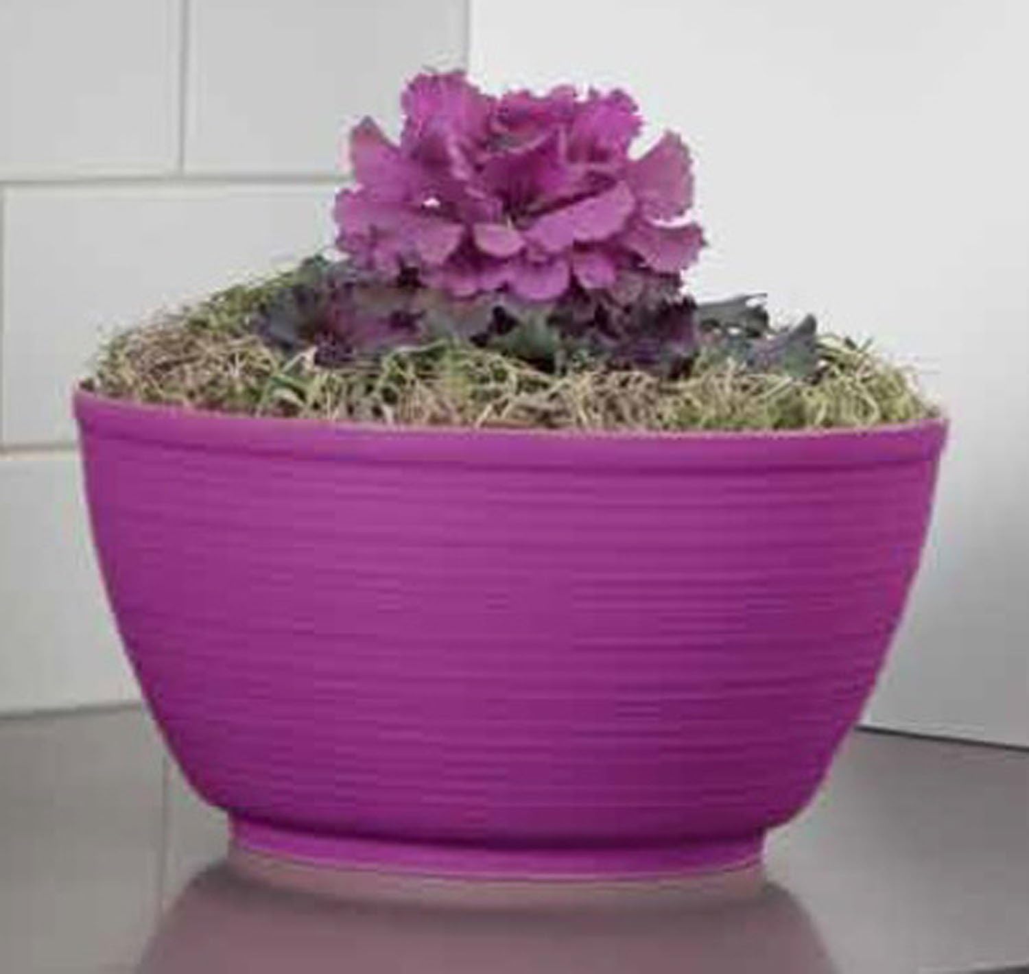 Bloem Willow 12" Plastic Plant Bowl, Deep Round Garden Pot, Peppercorn | Sealed plant bowl with knockout drainage, perfect for displaying herbs and succulents on indoor and outdoor surfaces.
