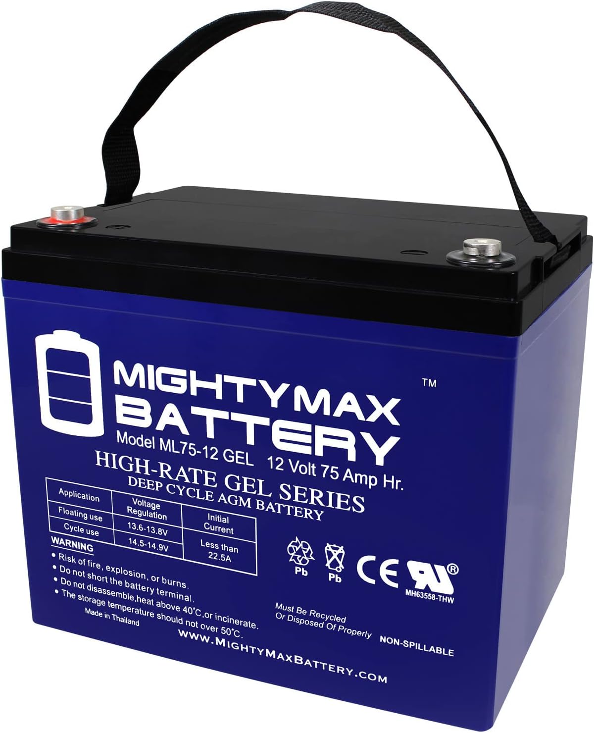 Mighty Max Battery ML55-12 GEL -12 Volt 55 AH, GEL Type, Internal Thread (INT) Terminal, Rechargeable SLA AGM Battery