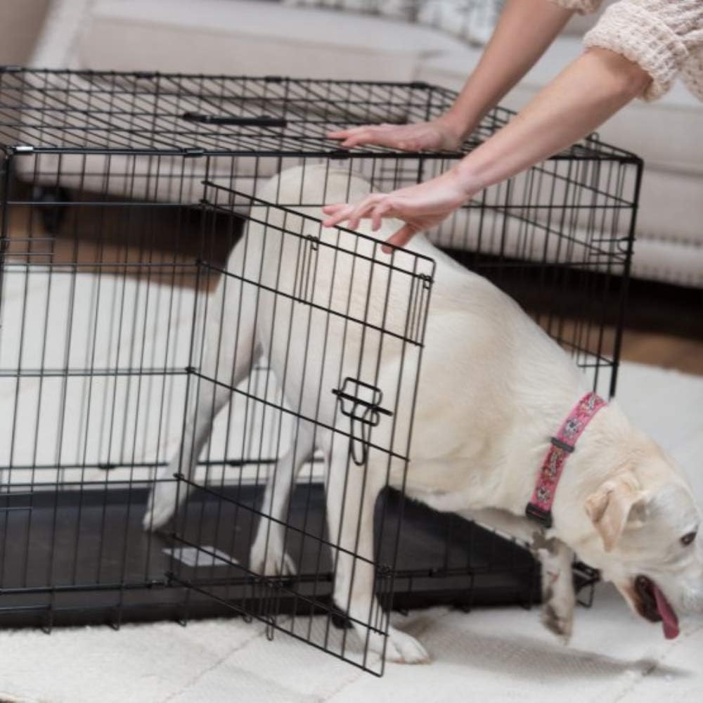 Precision Pet Products Two Door Provalue Wire Dog Crate, 24 Inch, For Pets 15-30 lbs, With 5-Point Locking System