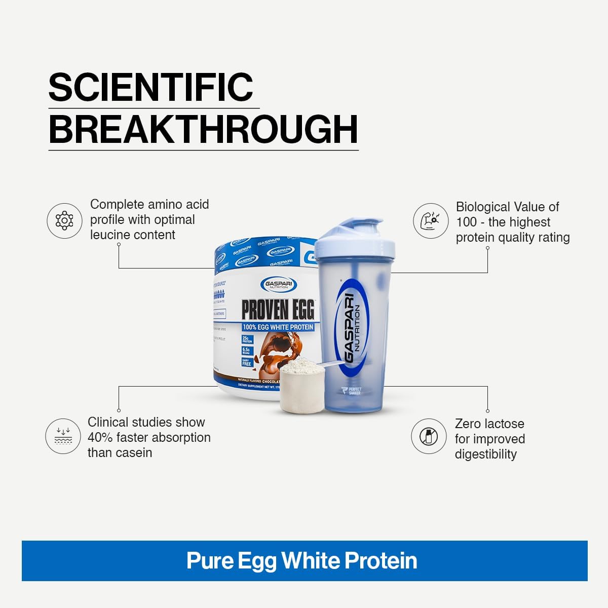 Gaspari Nutrition Proven Egg White Protein Powder, 25g Chocolate Protein Powder, 100% Egg White Protein, Keto Friendly, Dairy and Lactose Free, Soy Free (2 lbs, Chocolate)