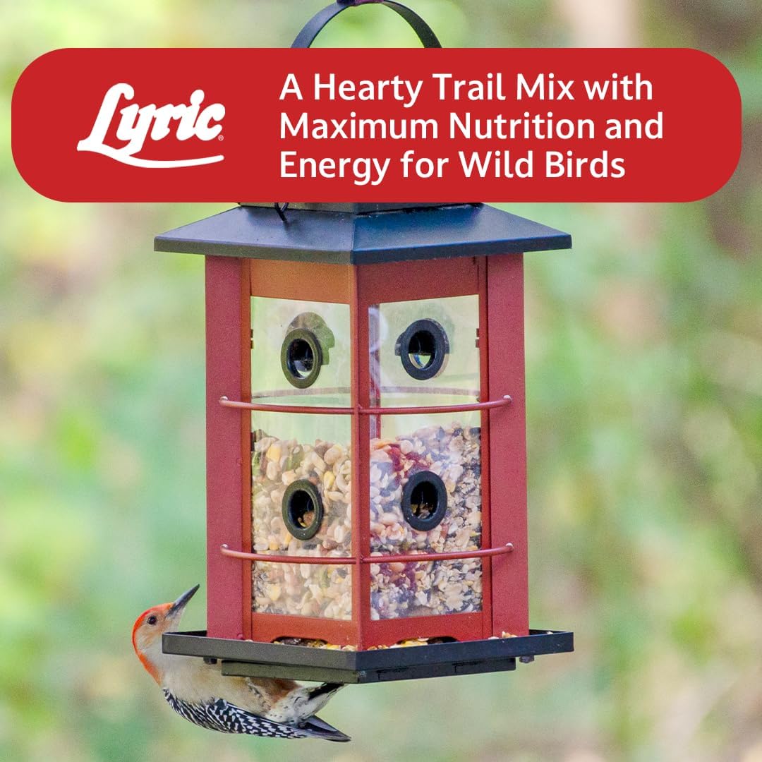 Lyric Fruit and Nut Wild Bird Seed - High Energy Wild Bird Food Mix - Attracts Woodpeckers, Chickadees & Other Songbirds -5 lb. Bag | Attracts Woodpeckers, Chickadees and other songbirds