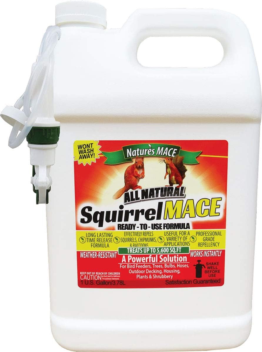 Nature's Mace Squirrel Mace Repellent 40 oz Spray | Squirrel and Chipmunk Repellent, Keep Squirrels Out of Your Garden, Attic, Bird Feeders, Fruit Trees, Plants, Potted Plants.