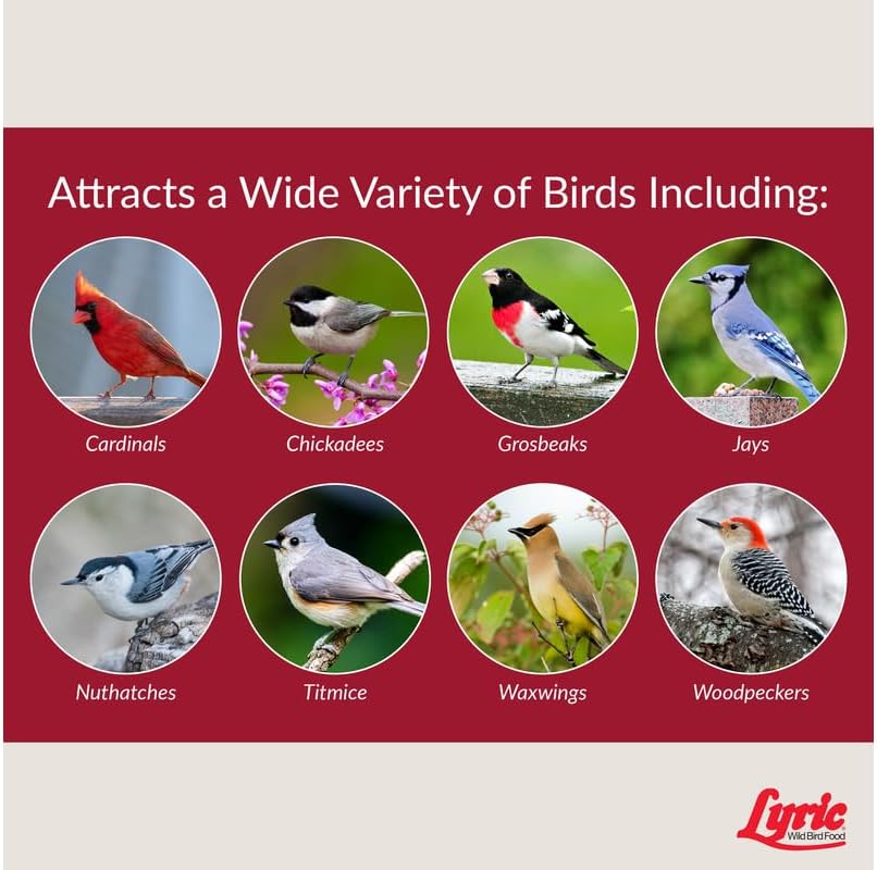 Lyric Fruit and Nut Wild Bird Seed - High Energy Wild Bird Food Mix - Attracts Woodpeckers, Chickadees & Other Songbirds -5 lb. Bag | Attracts Woodpeckers, Chickadees and other songbirds