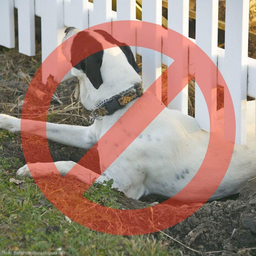 Dig Proofer Kit for Preventing Digging Under Fence