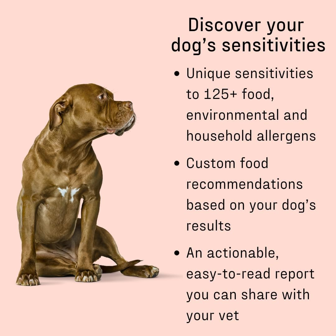 Vet-Recommended and Most Accurate Allergy Test for Itchy