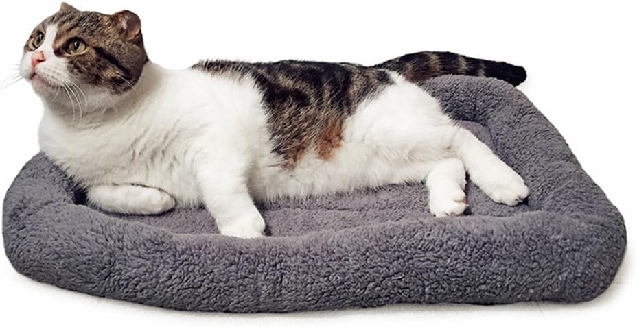 LESYPET Cat Bed for Indoor Cats, Soft Cat Cushion with Cat Pillow Around, Rectangle Kitten Pad Small Bed for Window Sill, 15'' x 10''