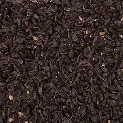Wild Delight Black Oil Sunflower Seed, 5 lb
