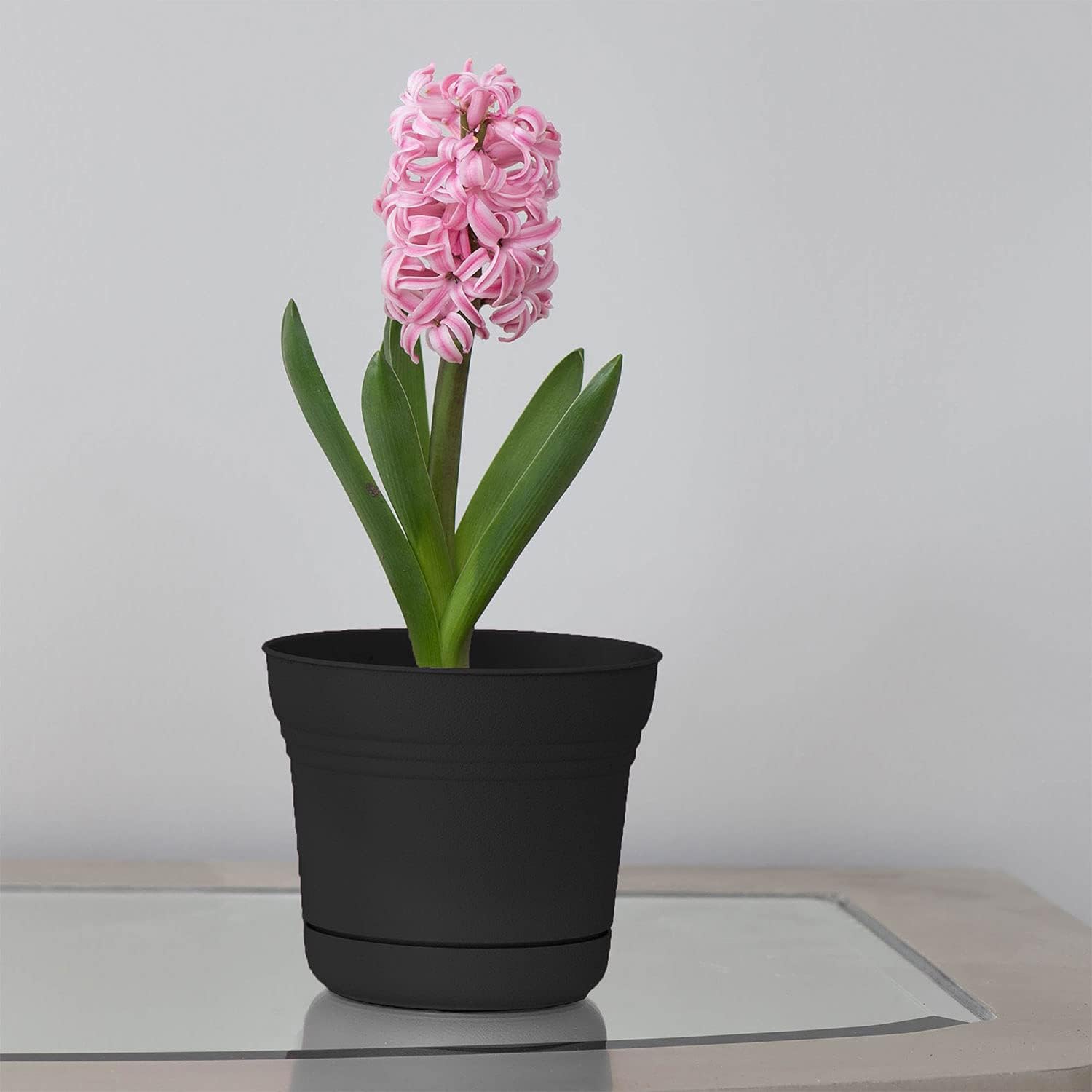 Bloem Saturn Planter with Saucer, 10", Calypso (SP1027)