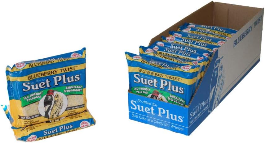 Suet Plus Zesty Orange Suet 12 Pack