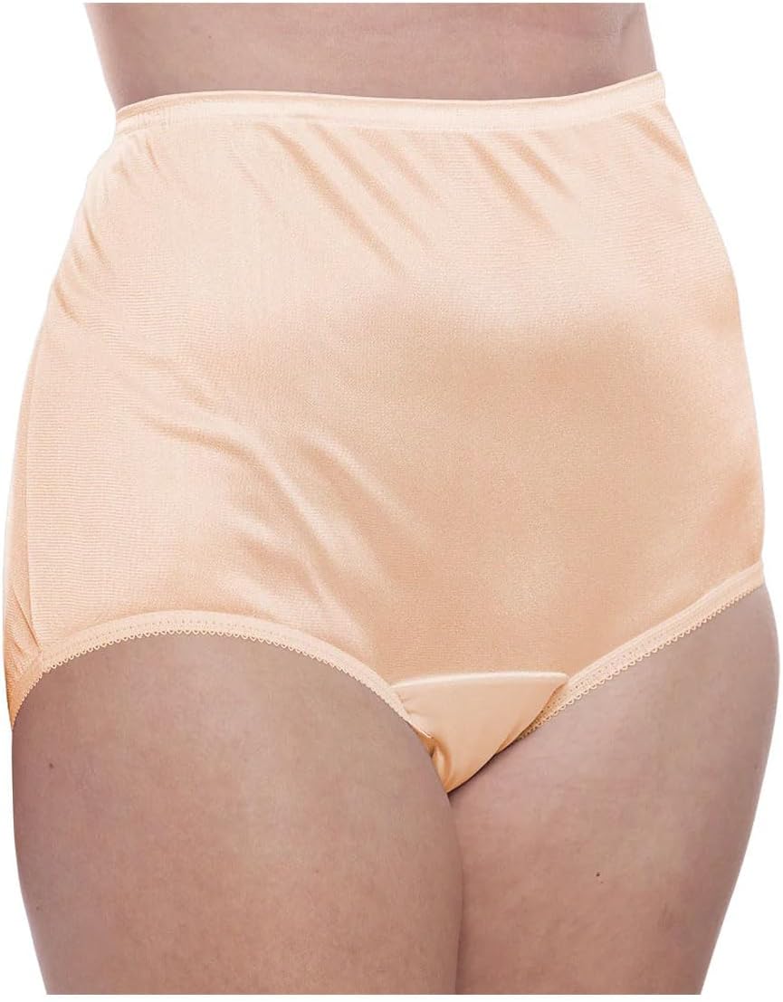 Teri Women's 331 Plain Jane Classic Nylon Silky-Smooth Lightweight Breathable Full Coverage Brief Panty - 4 Pack