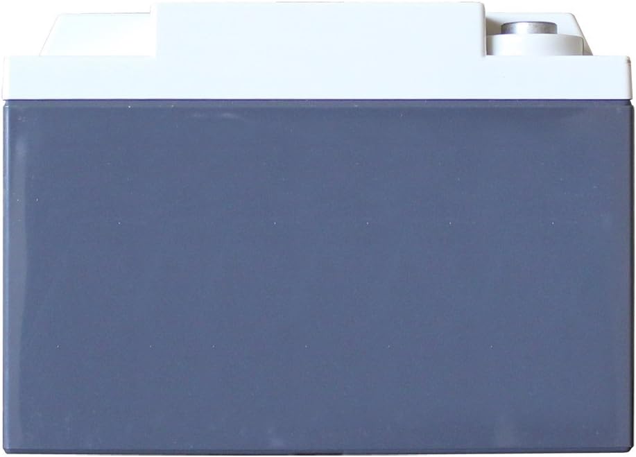 XS Power S925 'S Series' 12V 2,000 Amp AGM Automotive Starting Battery with Terminal
