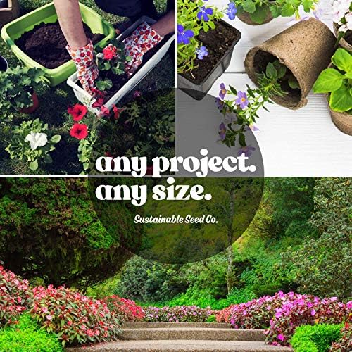 Sustainable Seed Co Emerald Giant Sweet Bell Pepper Seed - 1 OZ 3,360 Seeds | Non-GMO, Heirloom, Open-Pollinated Vegetable Seeds for Gardening - Easy to Grow, Perfect for Farm and Home Gardening