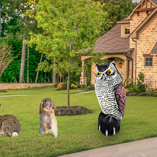 Plastic Owl Statue Decoys for Bird Control - Owl Scarecrow with Rotating Head for Garden, Yard and Outdoor Use | Scare Birds