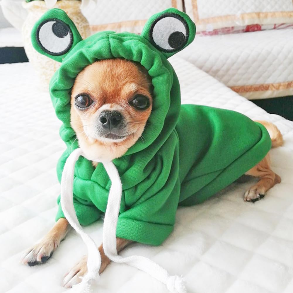 ANIAC Dog Hoodies Sweatshirt with Bunny Ears Spring Puppy Clothes for Small Dog Girl Boy Soft Doggy Sweater Cat Apparel Pet Clothing for Kitten