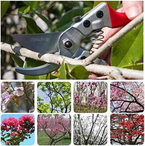 Pruning Shears with Stainless SK5 Steel Blades+Straight Tip Gardening Shears Garden Shears Garden Clippers Florist Scissors Hand Pruners Garden