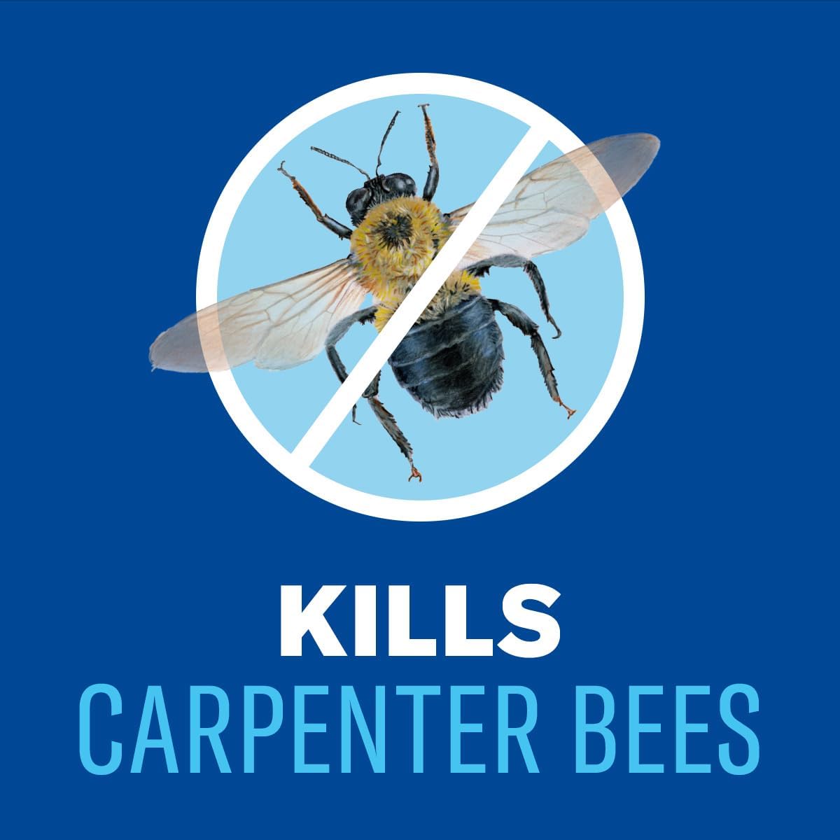 BioAdvanced Carpenter Ant & Termite Killer Plus Spray - 1 Gal Bottle | Ready-to-Use - Kills Carpenter Bees - Indoor & Outdoor Insect Control - Sprayer Included