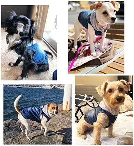 SILD Pet Dog Jeans Jacket Vest with Hooded Blue Dogs Hoodies Denim Cat Coat | Boy Girl Male Dogggie Puppy Cute Vintage Cool Classic Small Medium Machine Washable Apparel Clothes Outfit T-Shirts Costume