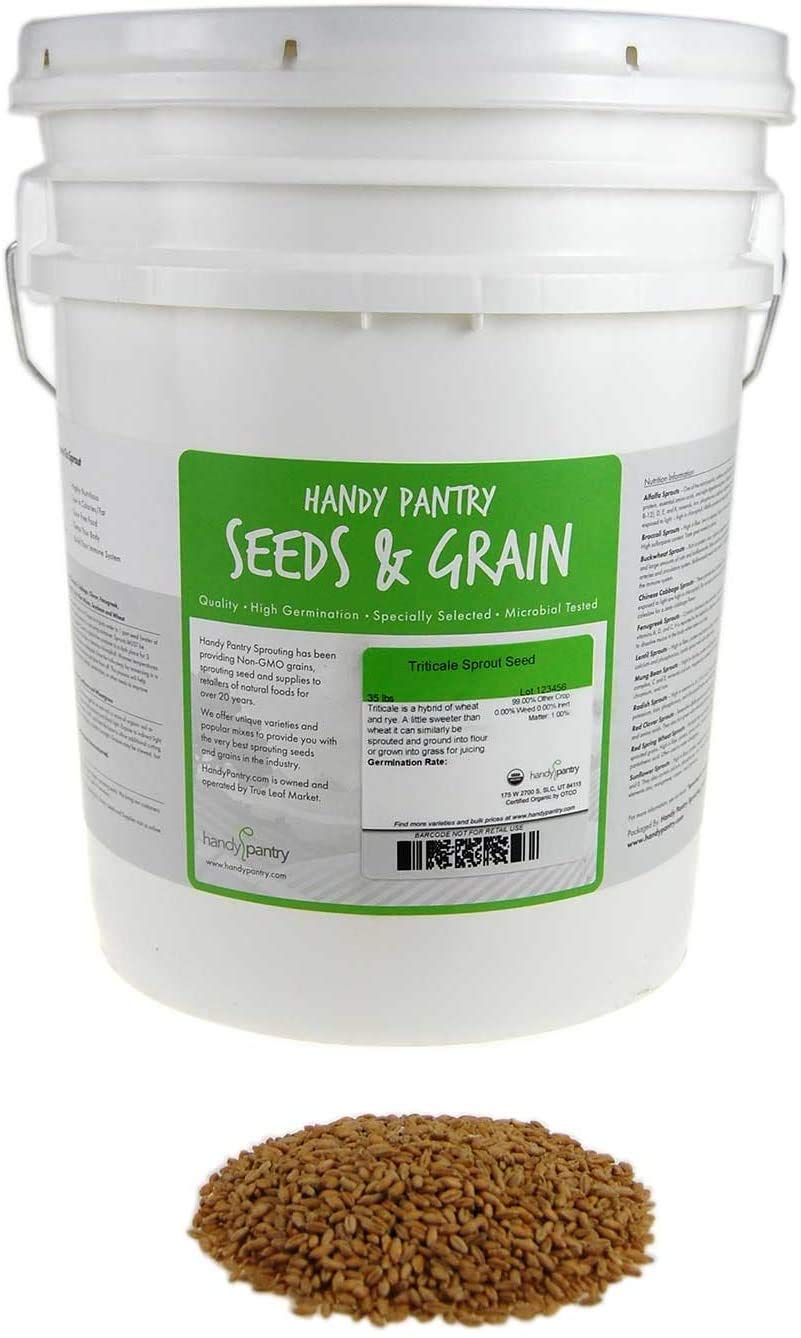 Handy Pantry Organic Triticale Seeds- 30 Lbs- Triticale Grain Seed | Sprouting Sprouts, Cooking, Grind Flour, Food Storage & More
