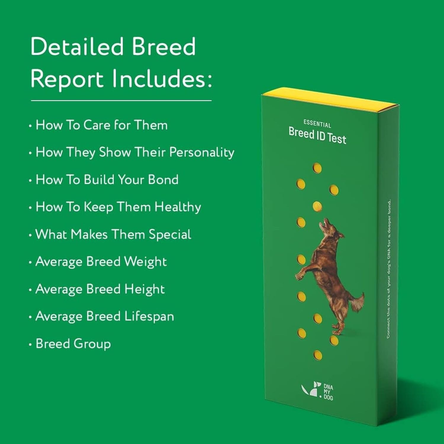 DNA MY DOG - Dog DNA Test Kit | 350+ Breeds Identified | 99%+ Accuracy | Allergy Risk Score | Personality & Behavior Insights | Results in 2-3 Weeks |