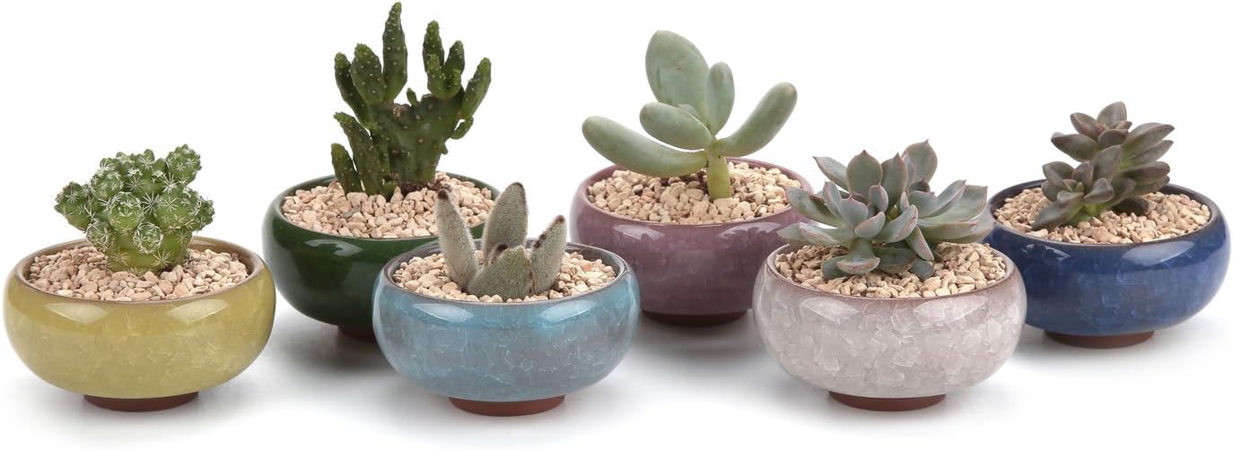 T4U 2.5 Inch Small Ceramic Succulent Planter Pot with Drainage Hole Set of 6, Ice Crack Glaze Plant Container for Cactus, Gardening Plant Gifts for Women Mom Aunt Home Office Decor | Cactus planters set, indoor herb garden, bonsai tree starter, tabletop…