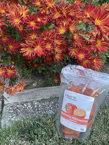 Fruit for Thought Dried Persimmons, No Sugar Added, 12 oz, Pack of 2