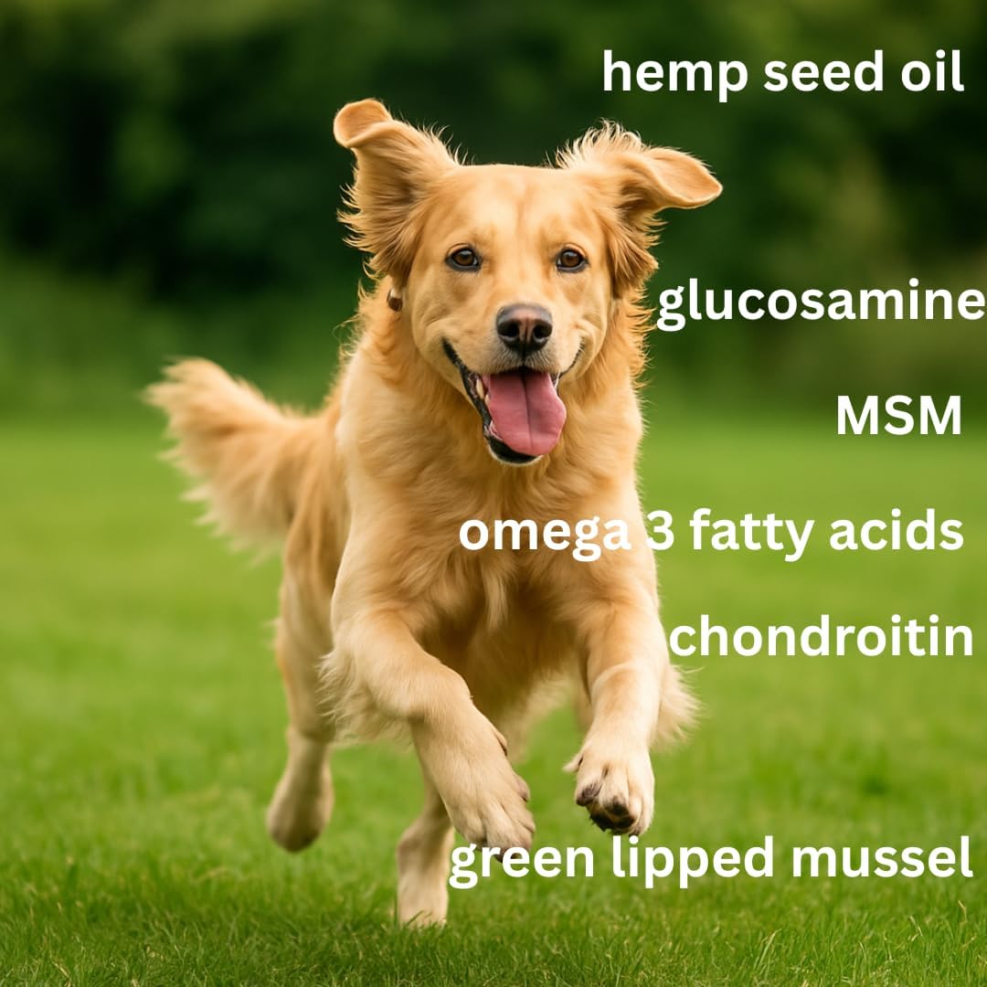 Dog Joint Supplement – Glucosamine, Hemp, MSM & Turmeric for Dogs – Hip & Joint Relief Soft Chews, 60-Count by Blogging Dog Products