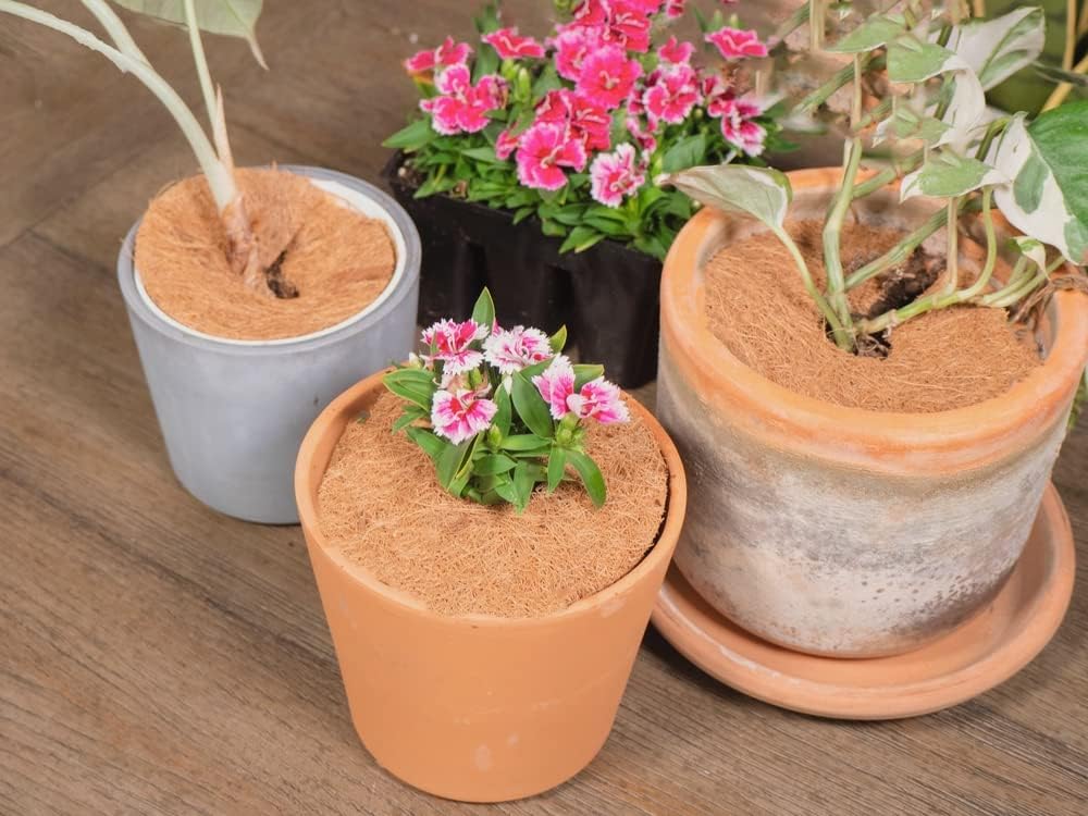 Envelor 20 pcs Coconut Fibers Mulch Ring 4 Inches Tree Protector Mat Coconut Mulch Cover Natural Coconut Fiber Weed Control Rings, Tree Ring Plant Cover for Indoor Outdoor Plants, Pot, Landscaping