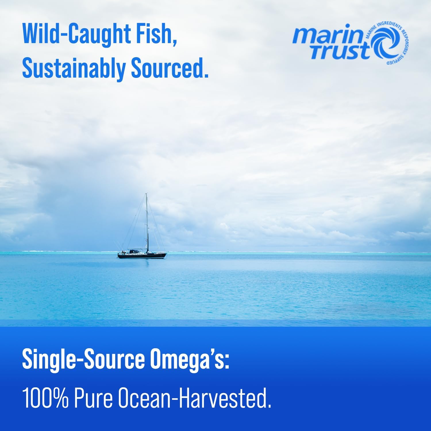 Triple Strength Omega 3 Fish Oil 3600 mg | EPA & DHA | 180 Softgels | Burpless Fish Oil Supplement