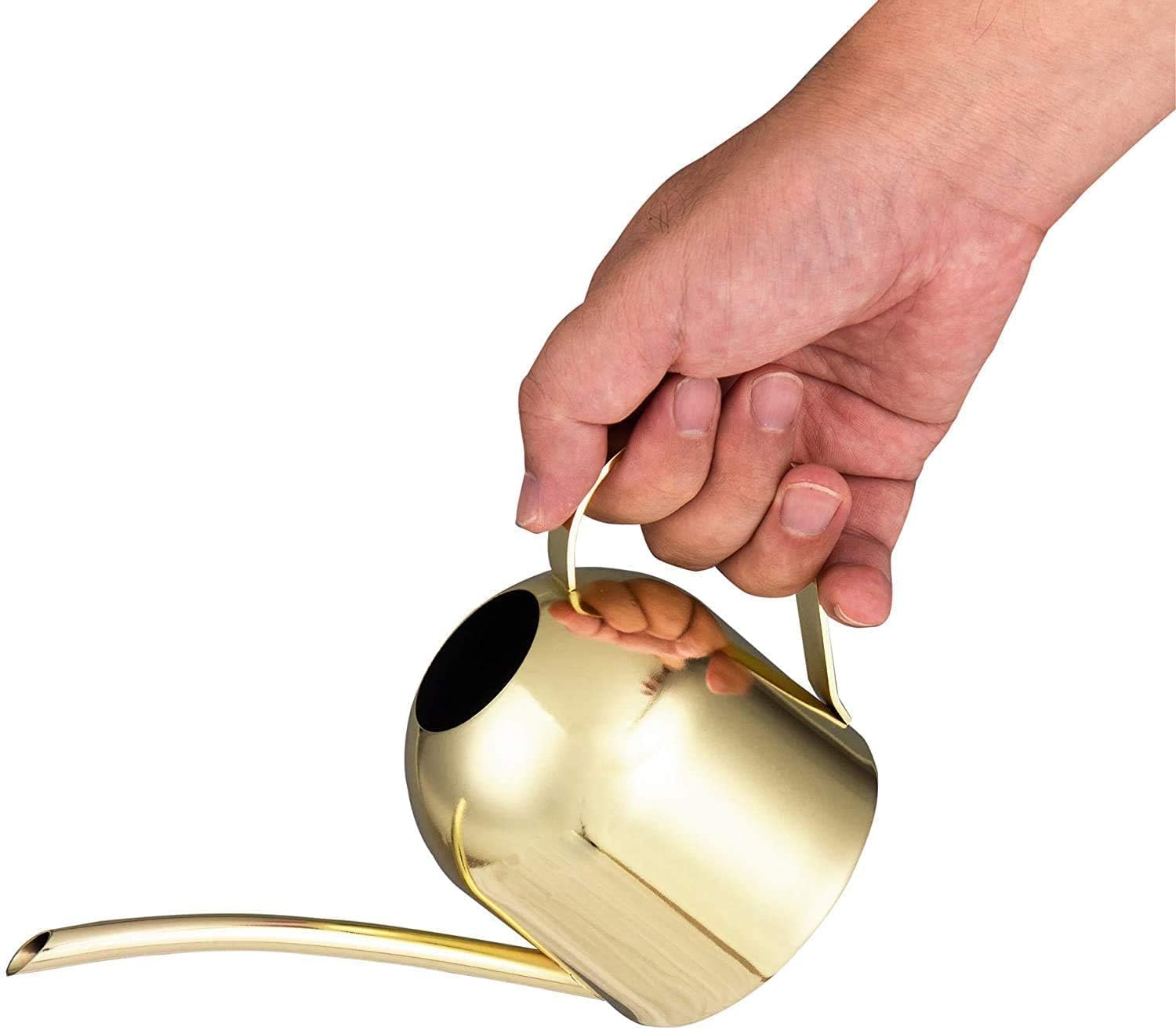 IMEEA Indoor Watering Can for House Plants 33oz/1L Brushed Stainless Steel Watering Can with Long Spout for Succulents, Bonsai