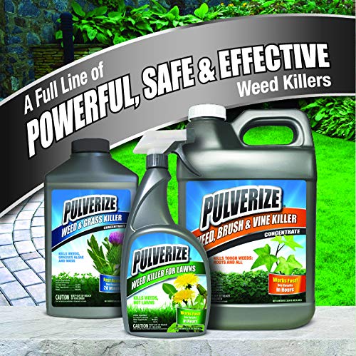 Weed Killer for Lawns Concentrate