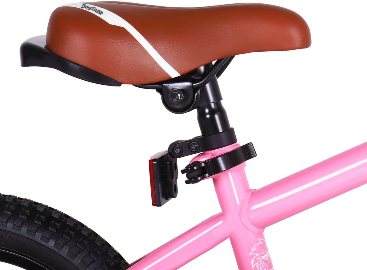 JOYSTAR Kids Bike for Ages 2-12 Years Boys Girls BMX Style Bicycle | 12-20 Inch Kids Bike with Training Wheels, Children Bicycle for Kids & Toddler
