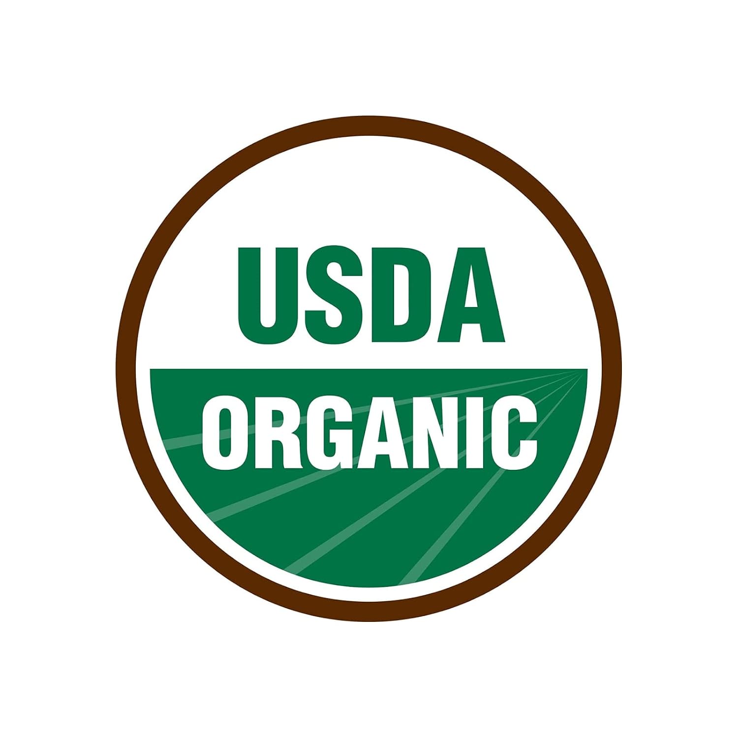 Soft White Wheat Berries Organically Grown in Michigan, Farmer Direct, USDA Organic Certified, Non-GMO, 25 Lbs Total // Findlay's Organics