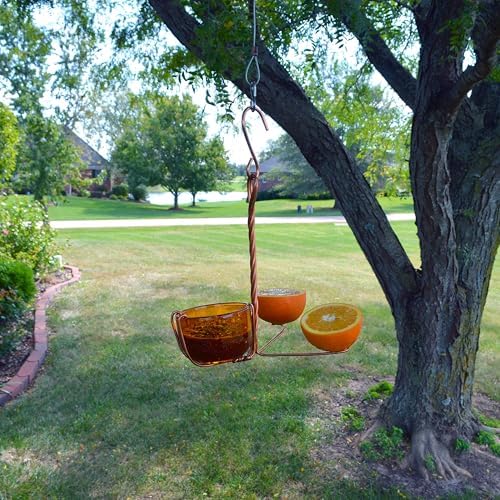 Copper Oriole Fruit and Jelly Feeder with Glass Bowl and Coils | Fruit and Jelly Feeder; Copper Frame; Glass Bowl; Orange Coils
