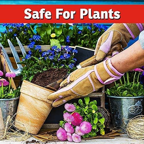 I Must Garden Deer Repellent: Powerful All-Natural Protection, 32oz Spice | Ready to Use Spray - Safe for Plants Pets & Pollinators - Pleasant Scent - Long-Lasting Control