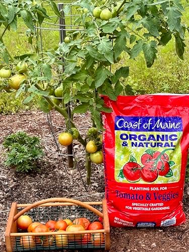 Coast of Maine Tomatoes and Veggies (20qt) Organic and Natural Planting Soil, Crafted for Vegetable Gardens and Organic Growers