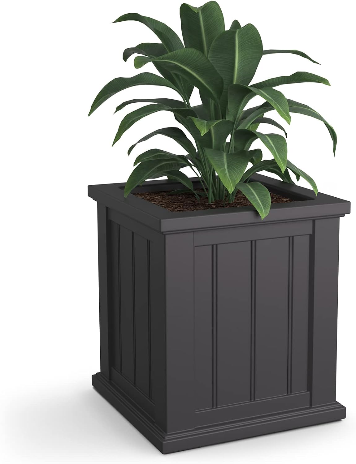 Mayne Cape Cod 14in Self-Watering Square Planter, Black | Self-watering, All season, Fade resistant, Double-wall design, 15-year warranty