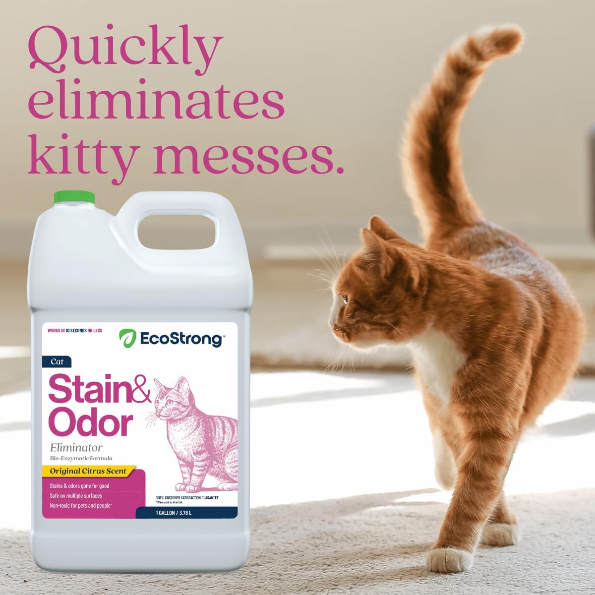 Eco Strong Cat Stain And Odor Remover| Enzyme Urine Odor Neutralizer - Stain Remover for Carpet, Litter Boxes, Bedding