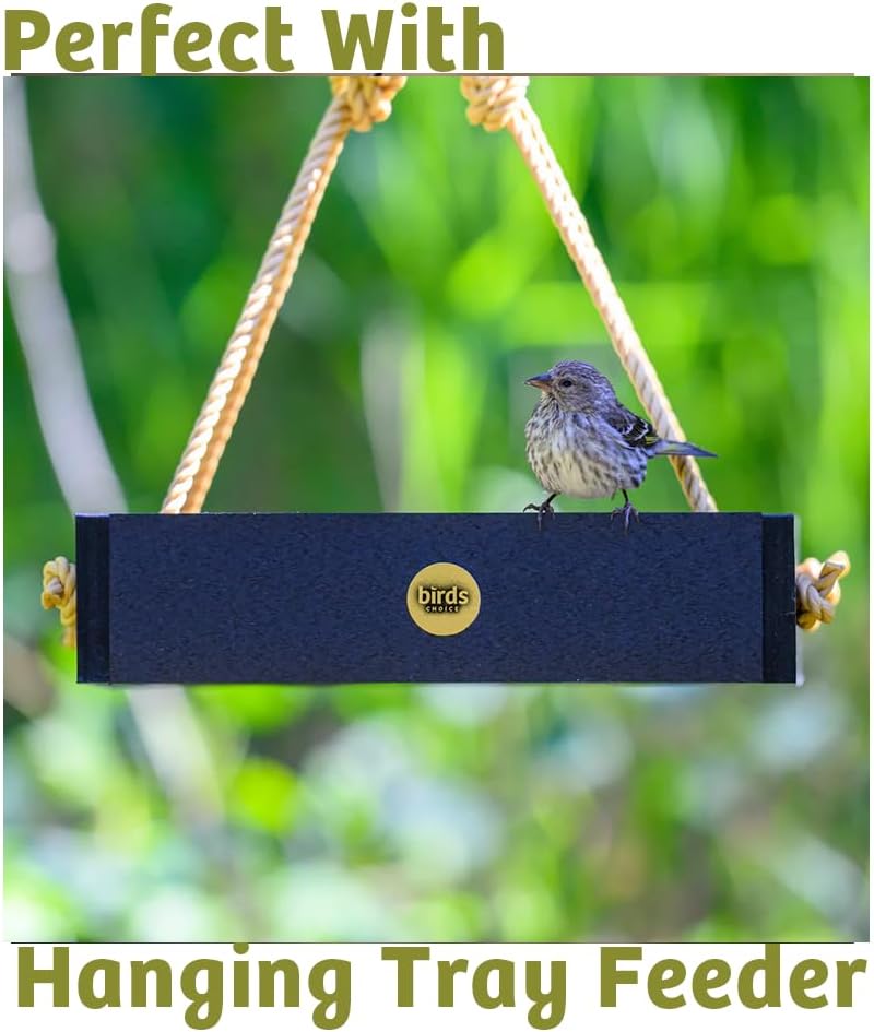 Birds Choice Bugs 'N Nuts Seed Cake | Wild Bird Food with Insects & Fruit | High-Energy Mix of Sunflower Chips, Peanuts