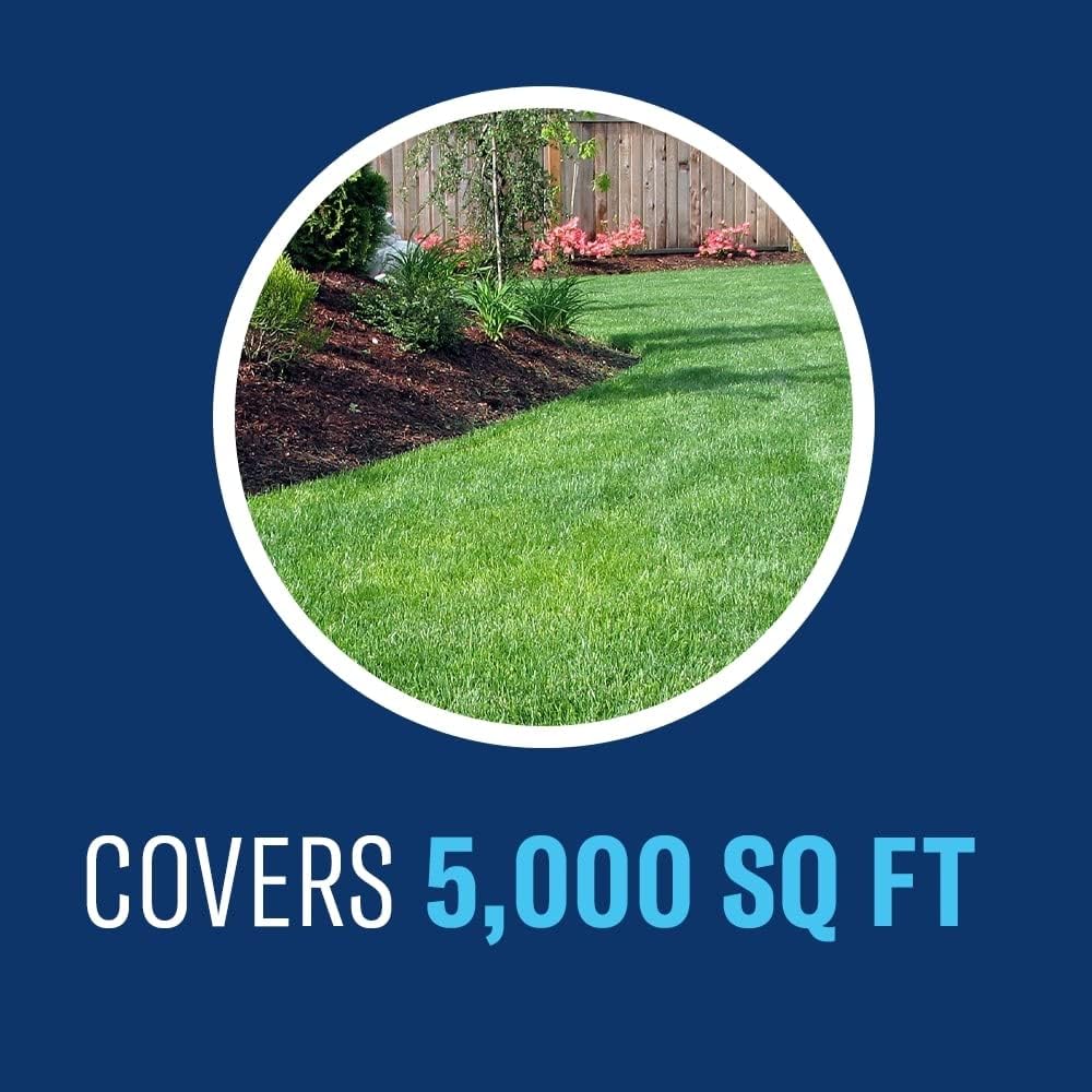BioAdvanced Fungus Control for Lawns - 32 fl oz Bottle | Ready-to-Spray - Cures and Prevents Lawn Diseases - Up to 1 Month Protection - Covers 5,000 Square Feet
