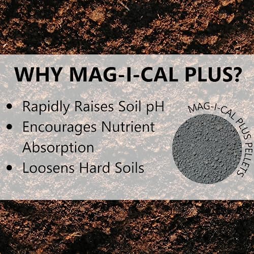 Jonathan Green (11354) Mag-I-Cal Plus Soil Food for Lawns in Acidic & Hard Soils - Soil Amendment for Grass (5,000 Sq. Ft.)