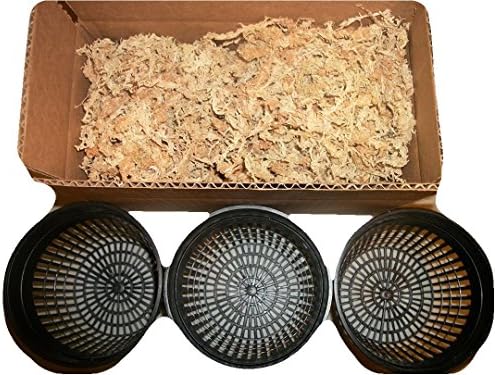 Three 5 Inch Net Pots with New Zealand Sphagnum Moss