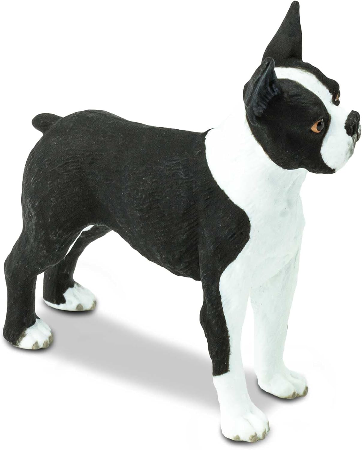 Safari Ltd. Boston Terrier Figurine - Lifelike 2.5" Model Figure - Educational Toy for Boys, Girls, and Kids Ages 3+