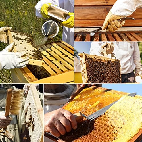 BeeCastle 14 Pcs Beekeeping Tools Starter Kit