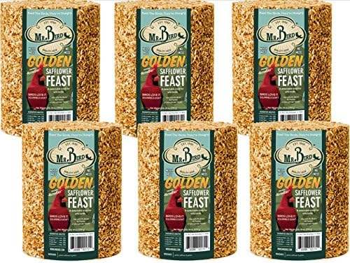 Mr. Bird Golden Safflower Cylinder Large Seed Cylinder 62 oz.