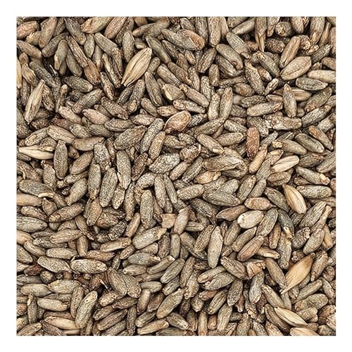 Briess-BM-5332 Rye Malt (5 lb) - Brown