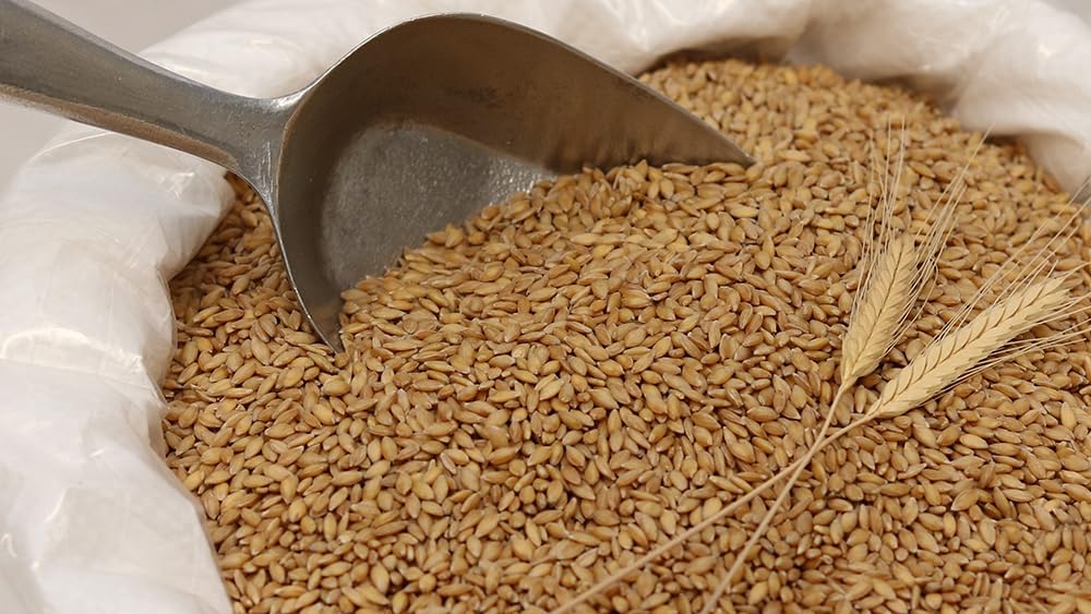 Organic Einkorn Wheat Berries - 3lbs
