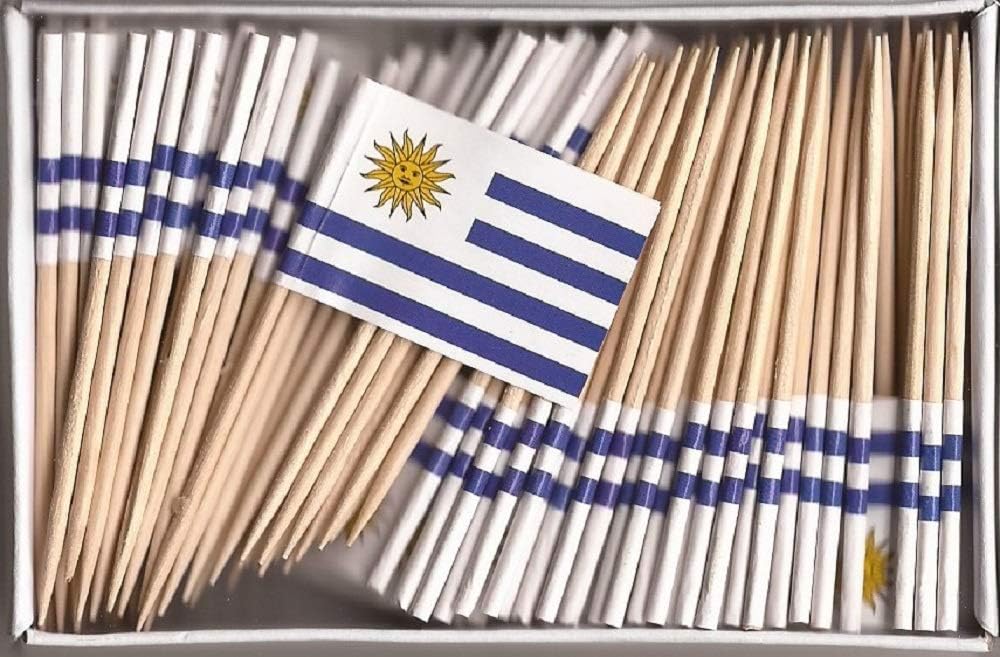One Box of 100 Nicaragua Toothpick Flags, 100 Small Mini International Flag Cupcake Toothpicks or Cocktail Picks